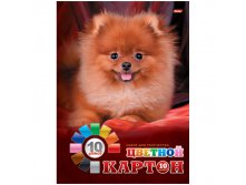 Картон цветной А4 10л. 10цв., в папке Хатбер 34,61.jpg