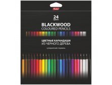 Карандаши BLACK DIAMOND 24цв., черное дерево, заточен., картон. уп., европодвес 261,50.jpg