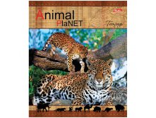 Тетрадь 48л. А5 линия Animal Planet 17,48.jpg