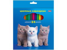 Карандаши Любимцы 24цв., картон. уп., европодвес 118,91.jpg
