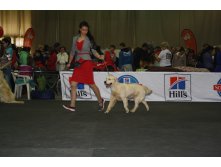 IMG_4957.JPG