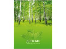 Дневник 5-11 кл. 48л. (твердый) Березки, ламинация 39,55.jpg