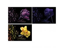 Альбом для рисования 32л. А4 на гребне Excellent Flowers, блестки 34,09.jpg
