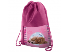 Мешок для обуви 2 отделения Pets dog, карман на молнии 225,77.bmp