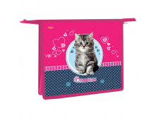 Папка для тетрадей 2 отделения, А5, Pets cat, пластик, на молнии 107,88.bmp