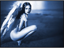 angel1.gif