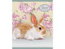 Тетрадь 12л. клетка Питомцы. Sweet pets, ВД-лак  5,64.jpg