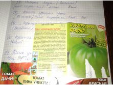 Изумрудное яблоко