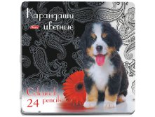 Карандаши Щенок 24цв., в метал. пенале 233,86.jpg