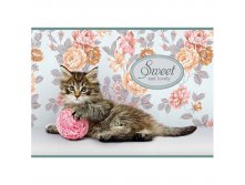 Альбом для рисования 12л. А4 на скрепке Питомцы. Sweet pets, блок 100 гм2, обл. офсет 11,20.jpg