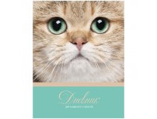 Дневник 5-11 кл. 48л. (твердый) Важный кот, матовая ламинация, блестки 43,80.jpg
