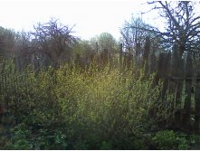 IMG_20150504_073856.jpg