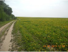 DSCN0142.JPG