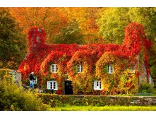 1349273798 houses-in-autumn-12.jpg