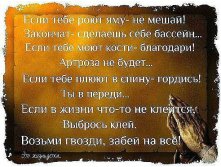 IMG_20150513_110419_34.jpg