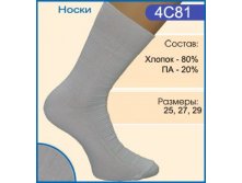 4С81.jpg