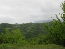 IMG 2516.JPG