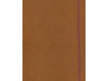 18411/18_ . "Agenda Class"  /192*255,,,/_378,65 .+%