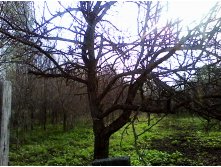 IMG_20150504_073916.jpg