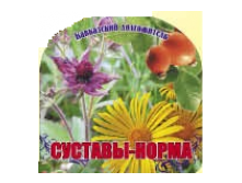 Травяной чай Суставы норма 150 гр.png