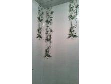 Ras5xfWFQck (1).jpg