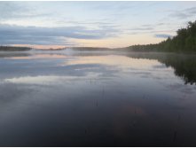 IMG 0241.JPG