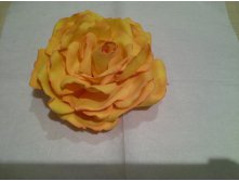 20150616 015341.jpg