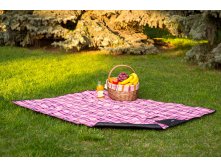 Picnic Pink.JPG