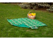 Sleepy Picnic Green.JPG