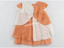 IMG 0499 ().jpg