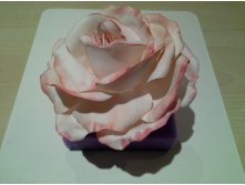 20150612 022755.jpg