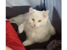 20150620 174316-1.jpg