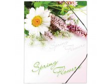 Папка на резинке Spring Flowers А4, 550мкм 76,76.jpg