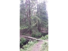 20150613 130326.jpg