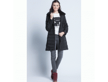 Ginger-FW14C   ..GIF