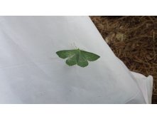 20150620 081733.jpg