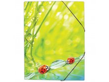 Папка на резинке Ladybird А4, 550мкм 76,76.jpg