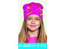 И-ДШК(014-01).jpg