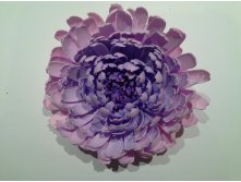 20150609 021139.jpg