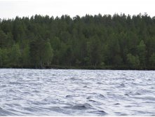 IMG 0207.JPG