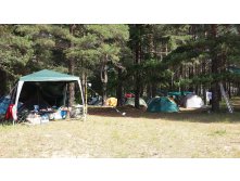 20150620 100134.jpg