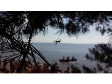 20150620 153040.jpg