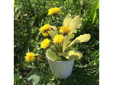 Одуванчики из фоамирана