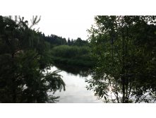 20150628 054854.jpg