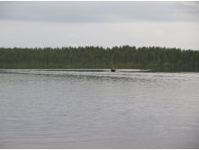 IMG 0252.JPG
