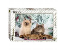 Пазлы 1000 эл. Кошки 222,25.jpg