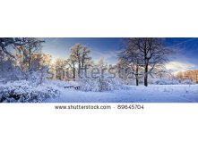 Stock-photo-winter-panorama-of-a-park-under-snow-at-sunny-day-89645704.jpg