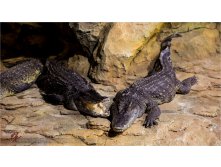 20150510-16-22-56-VIK 0170.jpg