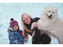 Samoyed (14).jpg