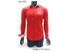 HZ01TF1011.jpg